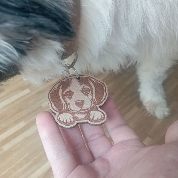 Médailles personnalisées avec coordonnées pour animal