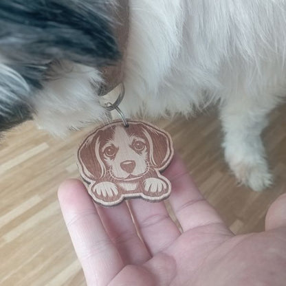 Médailles personnalisées avec coordonnées pour animal