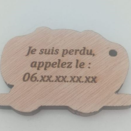 Médailles personnalisées avec coordonnées pour animal